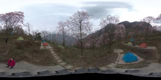 北川辛荑花 (5)